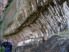 岩から染み入る湧き水